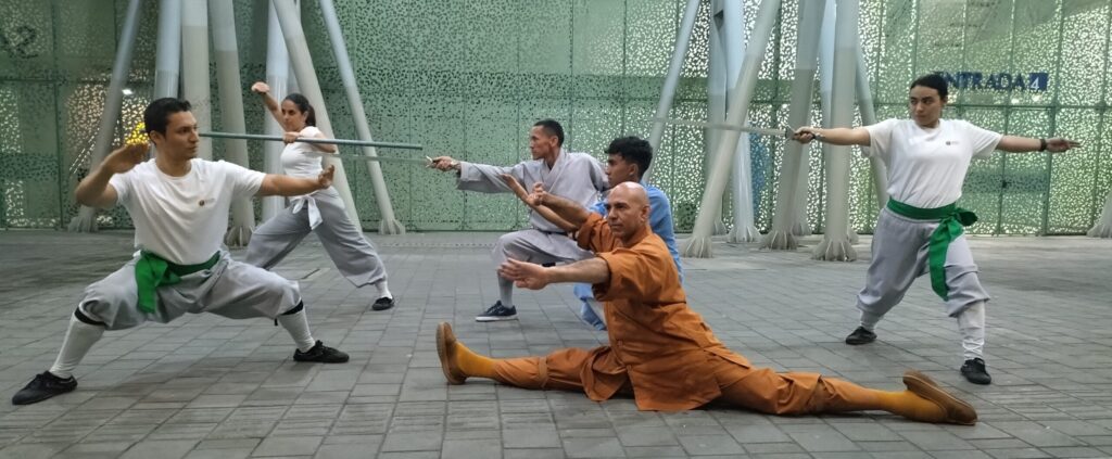 Shaolin Kung Fu